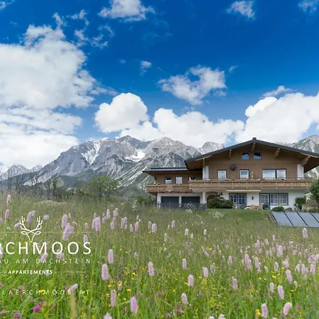 Lärchmoos * Ramsau am Dachstein