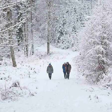 Appartement Laerchmoos