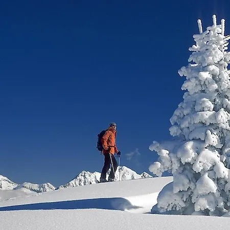 Lärchmoos Ramsau am Dachstein