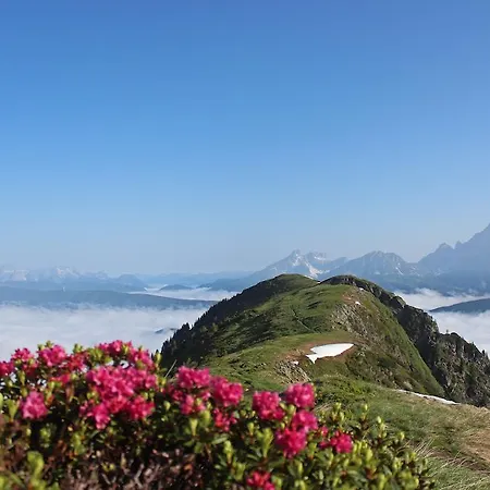 Lärchmoos Ramsau am Dachstein