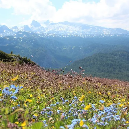 Appartement Laerchmoos Ramsau am Dachstein