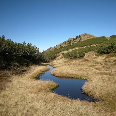 Laerchmoos רמסאו אם דכשטיין
