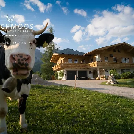 Lärchmoos Apartment
