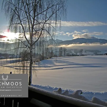 Laerchmoos רמסאו אם דכשטיין