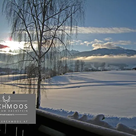 Lärchmoos Ramsau am Dachstein