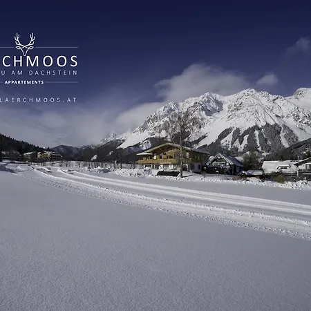 Laerchmoos Ramsau am Dachstein
