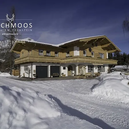 Laerchmoos Ramsau am Dachstein