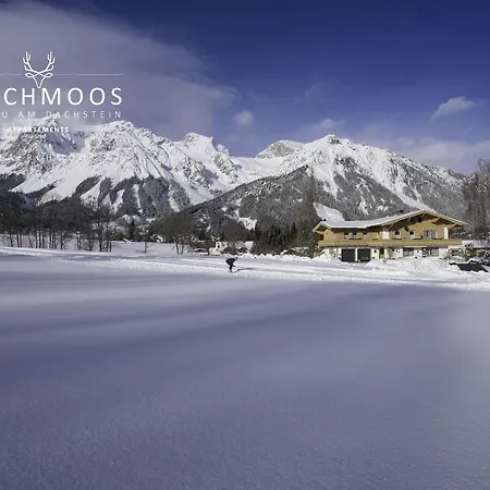 Laerchmoos * Ramsau am Dachstein