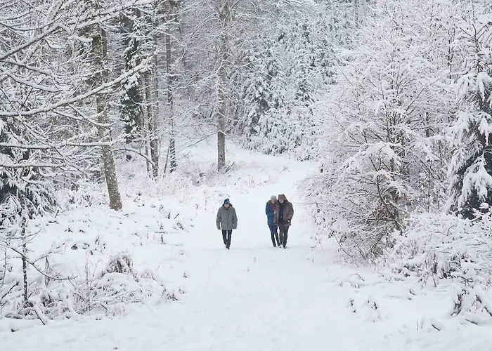 Διαμέρισμα Laerchmoos