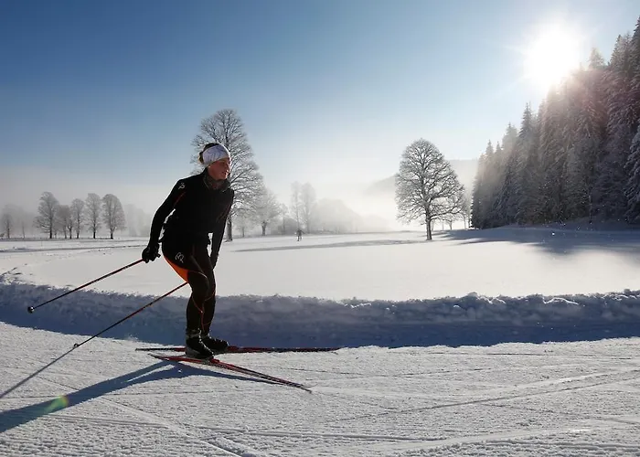 Διαμέρισμα Laerchmoos *