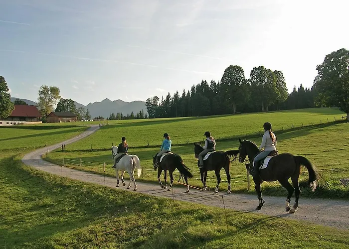 Laerchmoos Ramsau am Dachstein