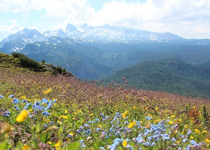 Διαμέρισμα Laerchmoos Ramsau am Dachstein
