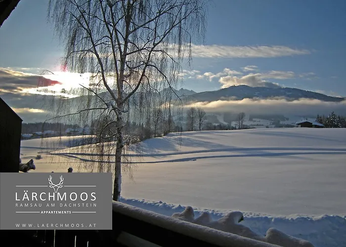 Laerchmoos Ramsau am Dachstein